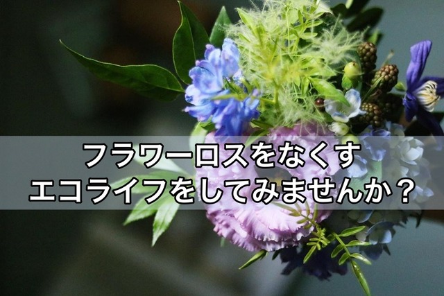 g55vmplwy7h0041qt3qbt0f2ie1sh93vのコピー