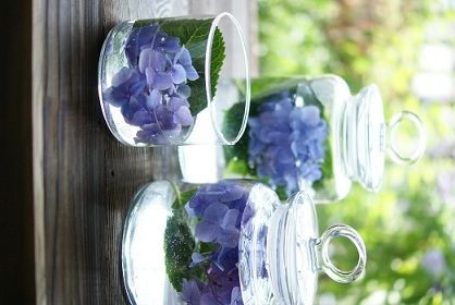 紫陽花で涼をお部屋に