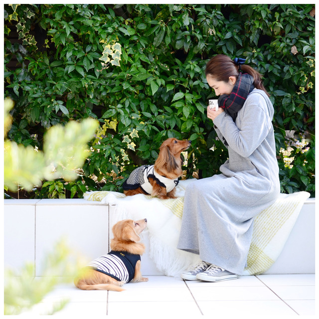 愛犬と一緒におしゃれに撮る♪ wanセルフィーの楽しみ方 撮影アイテム編