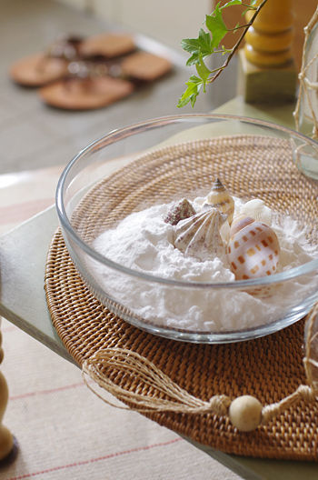 エコでナチュラル　重層でつくる消臭剤