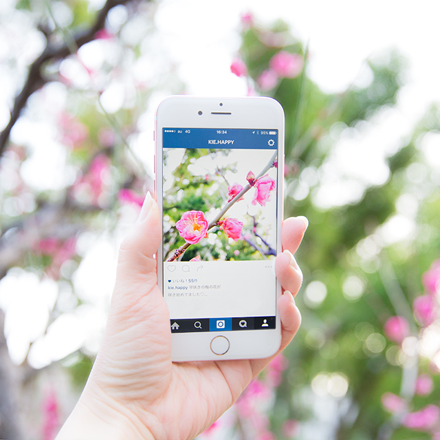 iPhone標準カメラで、キラキラの玉ボケを撮るコツ。梅の花をきれいに撮ろう!