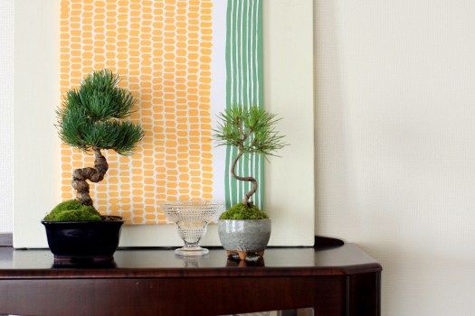 小さくてかわいい！ミニ盆栽