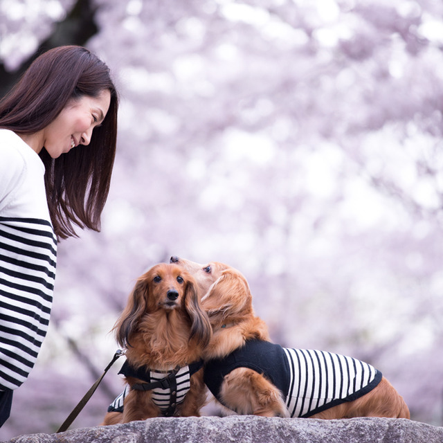 愛犬と一緒におしゃれに撮る♪ wanセルフィーの楽しみ方 ポージング編