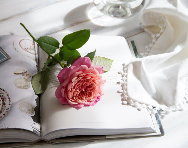 いいちこ「フラスコボトル」に、和ばらを一輪挿しにして