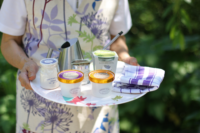 かわいい栽培キットで、プチ菜園