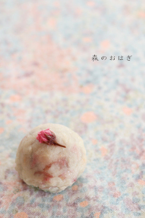 可愛い“変わりおはぎ”のお店　大阪・豊中「森のおはぎ」