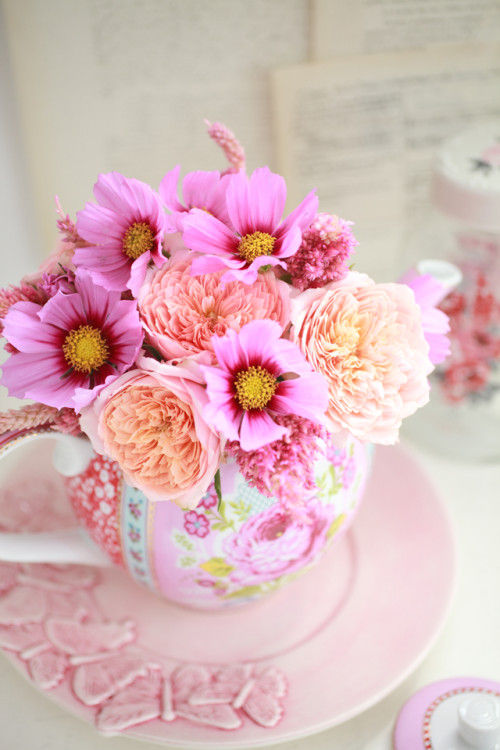 窪田千紘の「幸せの法則」　～世の中には元気になるものがいっぱい