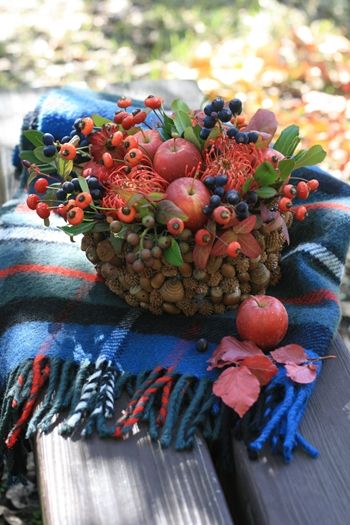 拾った木の実を活用～秋の実たっぷりのアレンジ～