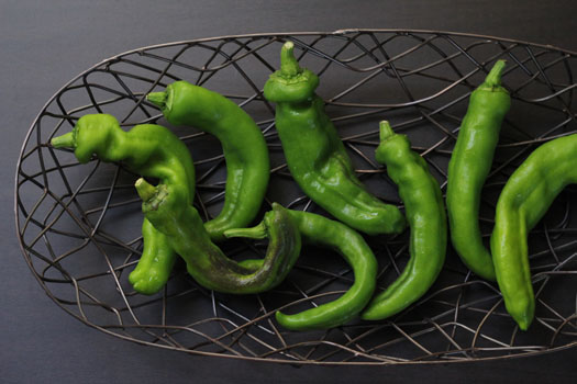 京野菜・万願寺とうがらしとじゃこのパスタ