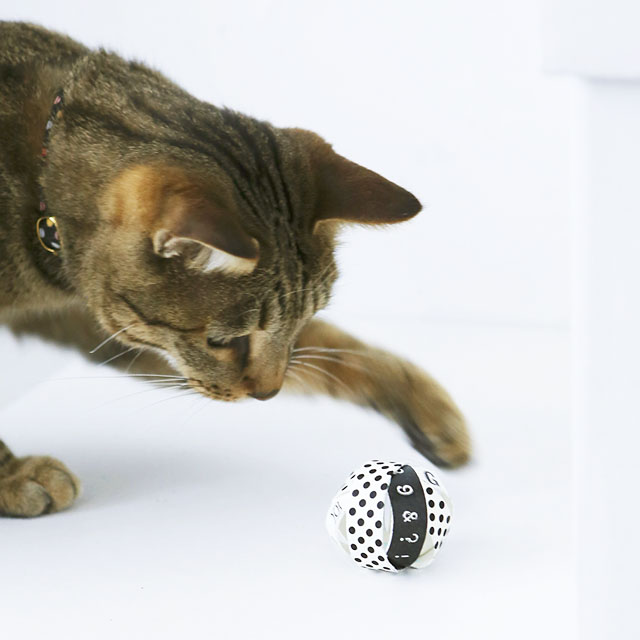材料費0円！　トイレットペーパーの芯とマスキングテープで作る猫の手作りおもちゃ