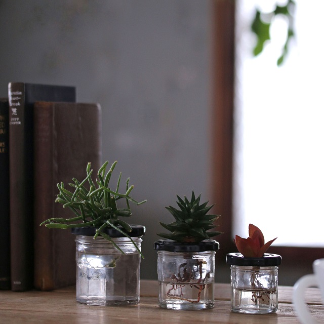 空き瓶でDIY♪　多肉植物やサボテンの水栽培容器の作り方