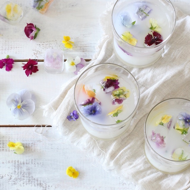 夏休みにお子さんと一緒に！ お花のアイスキューブの作り方