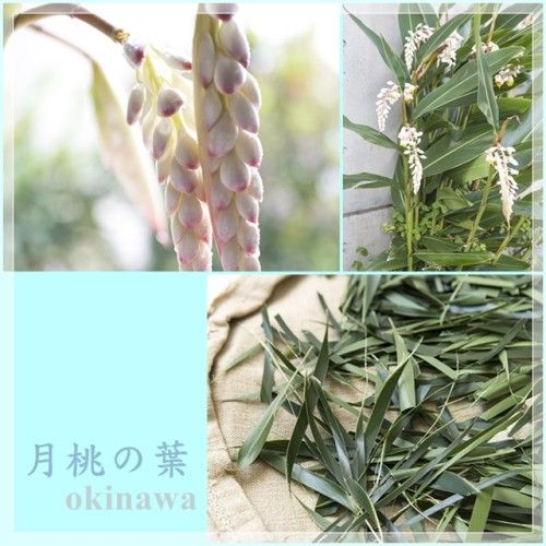 月桃の葉を使って　～沖縄伝統菓子「ムーチー」を可愛く作ってみました！