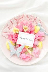 窪田千紘プロデュース  「フォトスタイリング（入門）エッセンスコース」第3期募集開始（2013年3月開講）