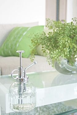 お手軽【ハッカ油】でさわやかお掃除