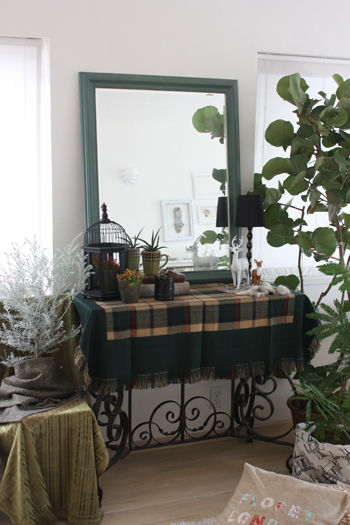 モダンジャングル風インテリア