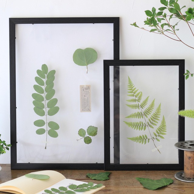 夏休みの自由研究に♪ 100均で簡単「フローティングフレーム」の作り方