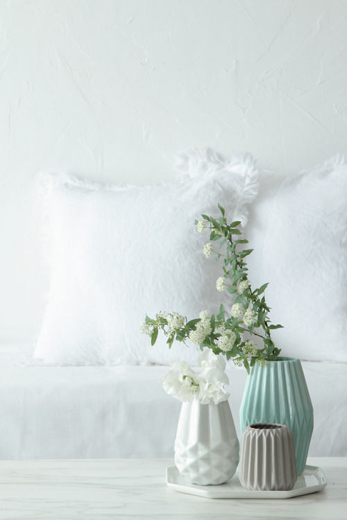 春の模様替えに欲しいおしゃれかっこいいアイテム２つ　～　「ナチュラルな暮らしのヒント」から