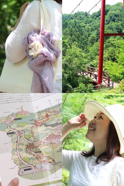 高崎観光大使おすすめ！古からの学びを楽しむ　～　高崎市染料植物園