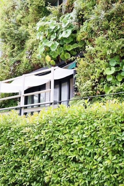 住宅街の中にある、緑溢れる癒しのカフェ「Plantscafe」