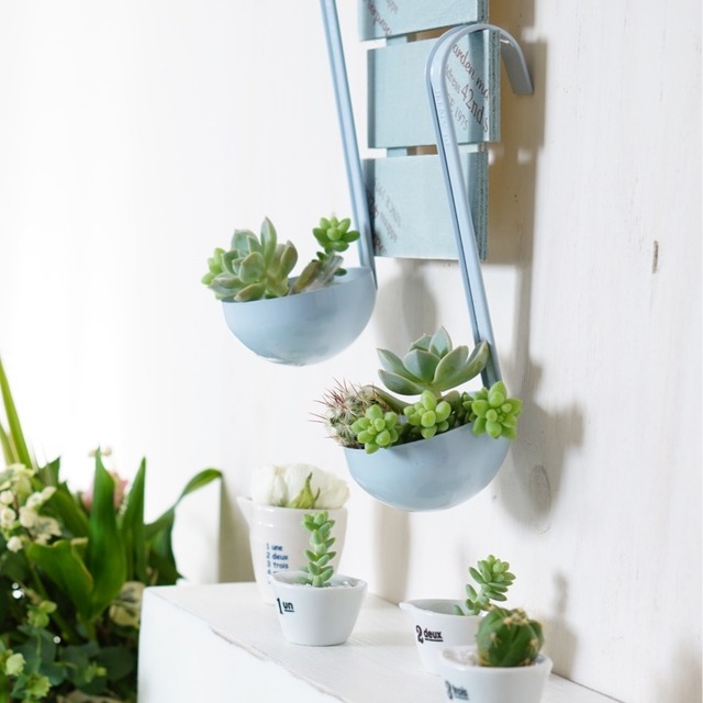 ALL100均アイテムでおしゃれな多肉植物の寄せ植えを作ろう