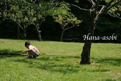 野原で花遊びのひとときを