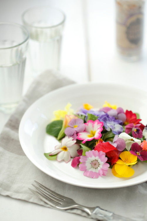 お皿の上も春爛漫♪　エディブルフラワーのスプリングサラダ