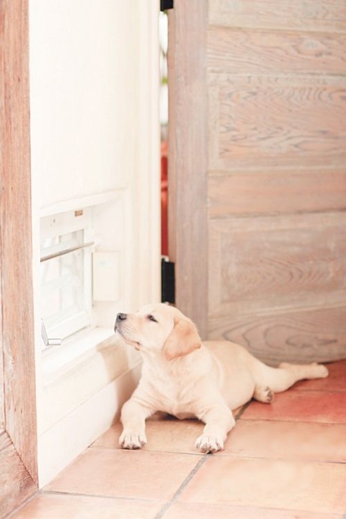 楽譜紹介♪懐かしいブルグミュラーでお国めぐり♪ 「スティリアの女」をロシア風にアレンジ ～ ピアノ連弾演奏付