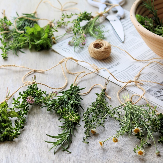 育ち過ぎたハーブでお手軽に！　夏の爽やかガーランドの作り方