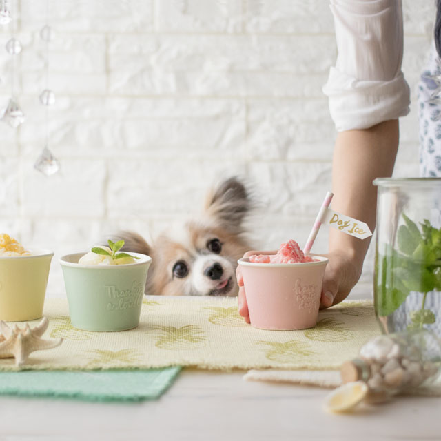 わんこの水分補給&熱中症対策に♪　愛犬用フルーツシャーベットの作り方