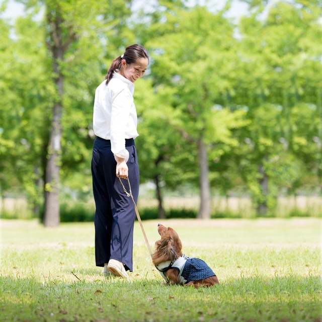 愛犬と一緒におしゃれに撮る♪ wanセルフィーの楽しみ方 簡単ポージング編