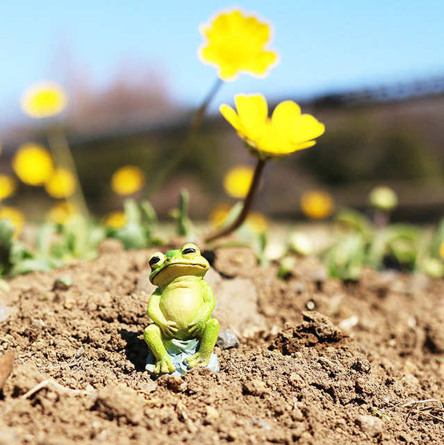 フィギュアとお出かけ♪ 春のおさんぽフォト