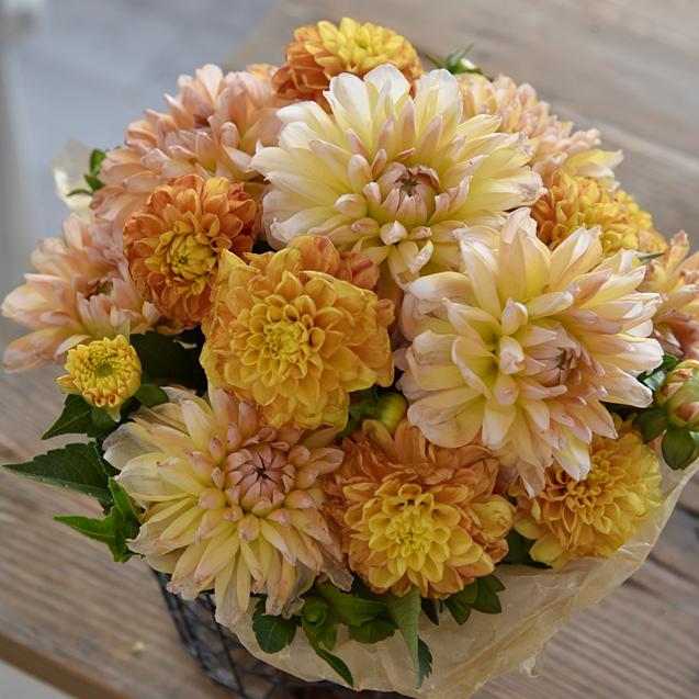 【ダリアの飾り方】テーブルが華やかになるラウンドアレンジメントの基本