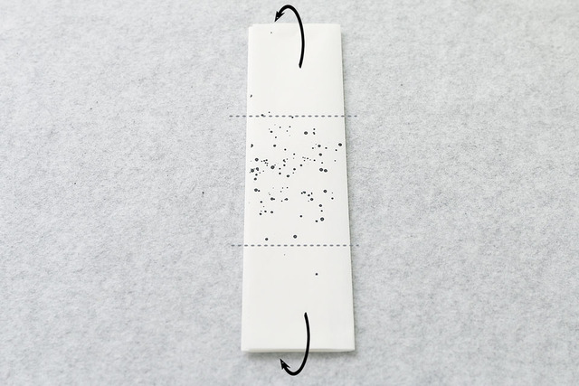 jrogawai_20161009_008