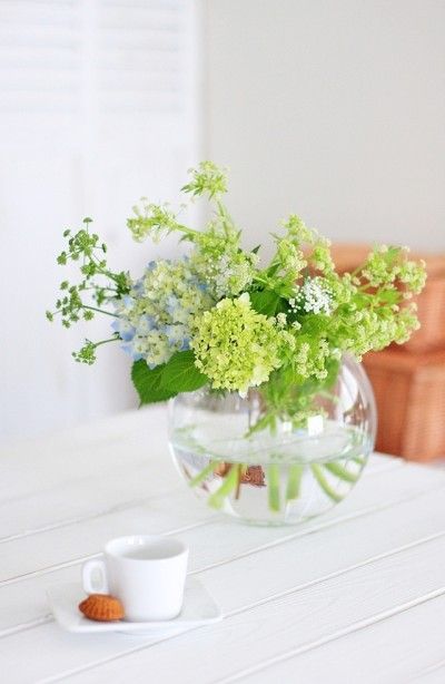 意外とキュートな野菜の花 ”ベジ・フラワー”