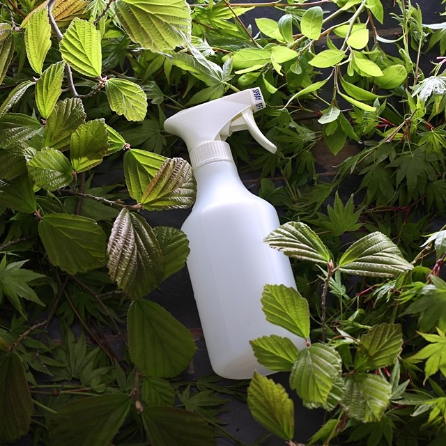 材料は家にある石けんだけでOK！簡単アブラムシ撃退スプレーの作り方