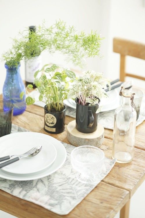 食卓に植木鉢？　グリーンでプチバカンス気分を楽しんで