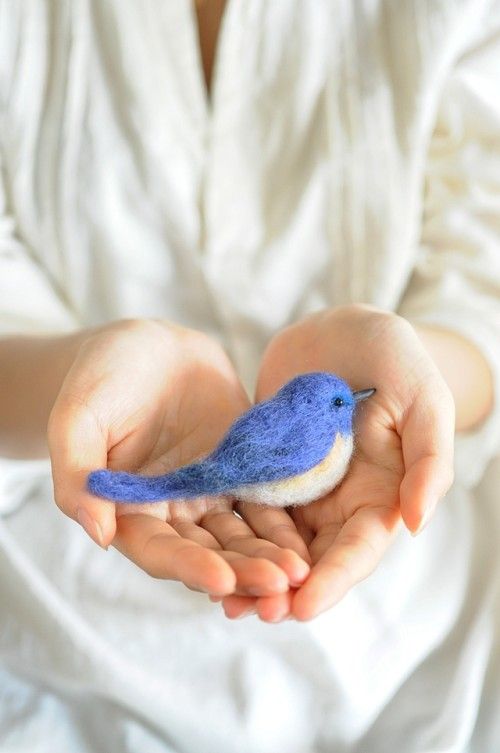 5月10日から愛鳥週間がはじまります