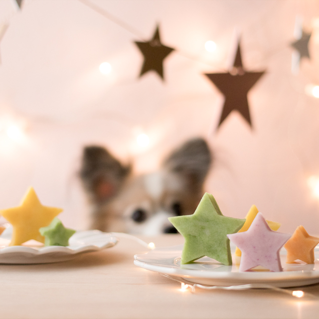 愛犬のクリスマスメニュー！ カラフル星形ポテトの作り方