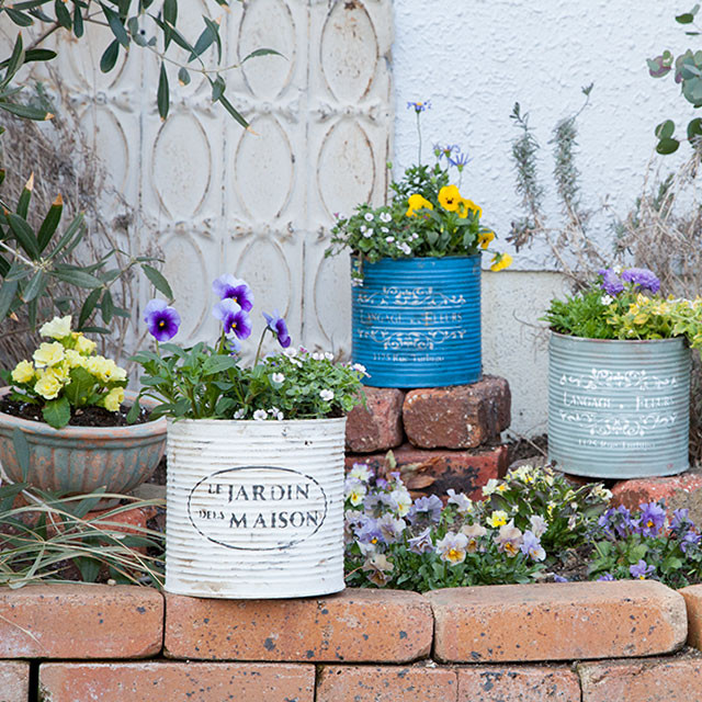 初心者でもOK！ 簡単リメ缶の寄せ植えで春を楽しもう