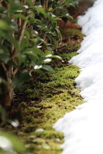 山形に残された上方文化を楽しむ ～ 紅花商人が残した時代雛めぐり