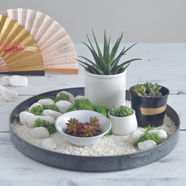 超簡単！多肉植物を置くだけお正月アレンジ