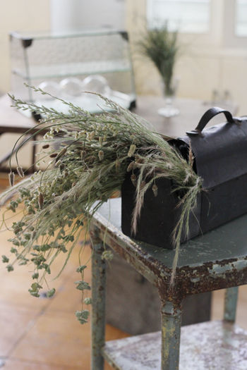 「鉄と錆と枯れ草たち」展レポート