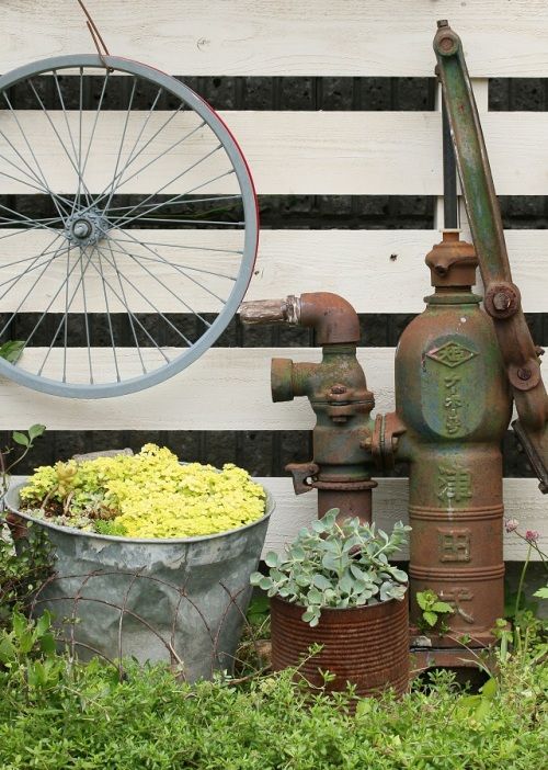 ガラクタに多肉セダムを植えて、ジャンクガーデンを楽しもう