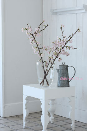 超簡単で世界で最先端！？桜のバサッと生け